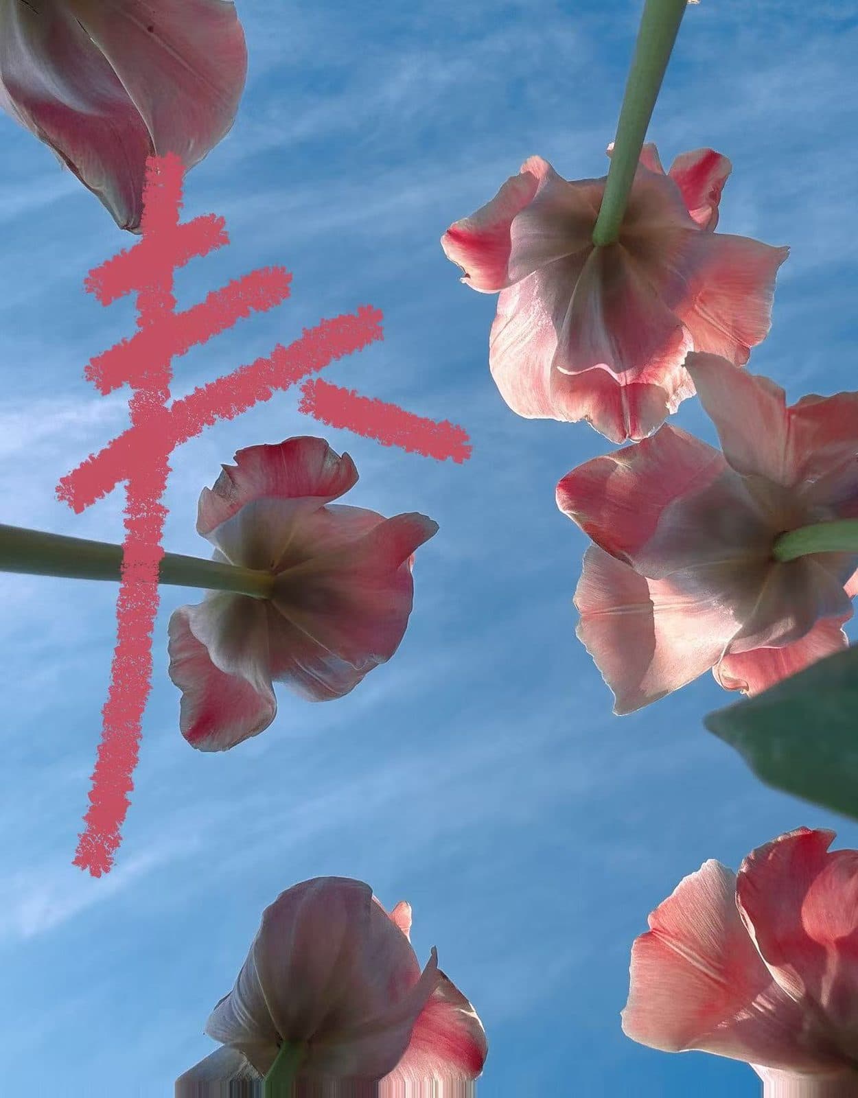 春末一场梦